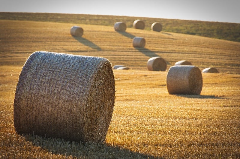 Abundant Yields