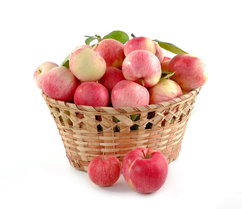 Fruit Basket