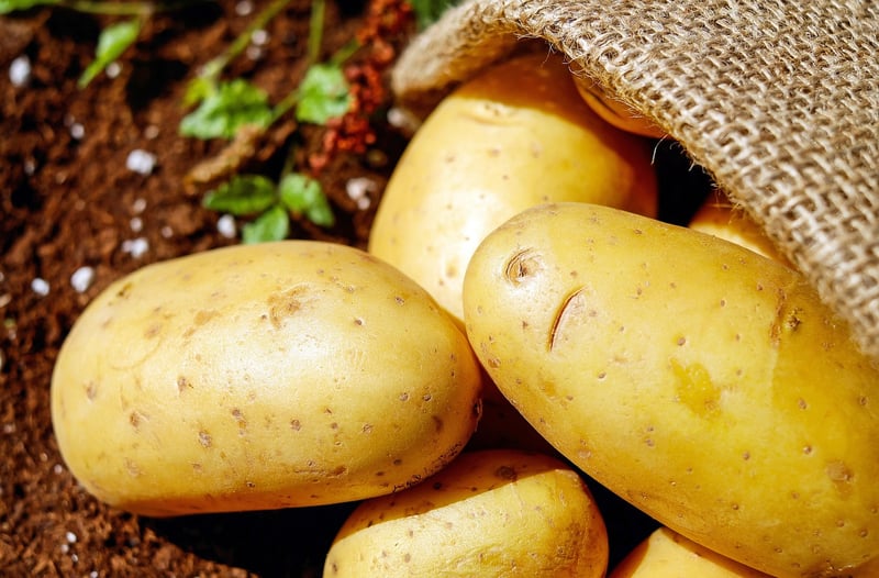 Seasonal Bounty